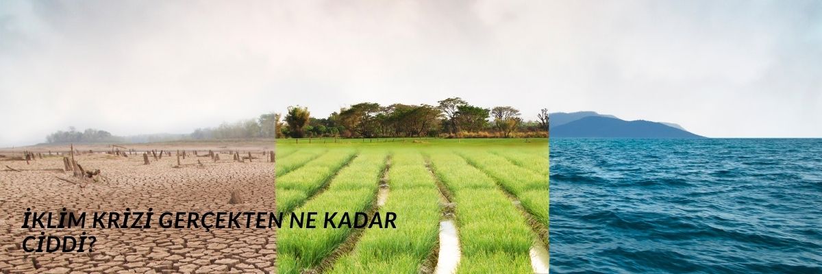 İklim Krizi Gerçekten Ne Kadar Ciddi