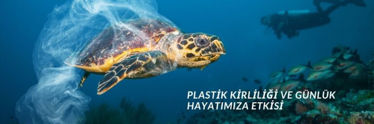 Plastik Kirliliği ve Günlük Hayatımıza Etkisi