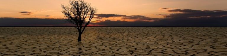 Küresel Isınma ve Yerel Politikalara Etkisi