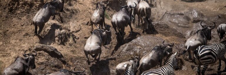 İklim Göçü Değişen Coğrafyalar ve Yeni Sosyal Gerçeklikler