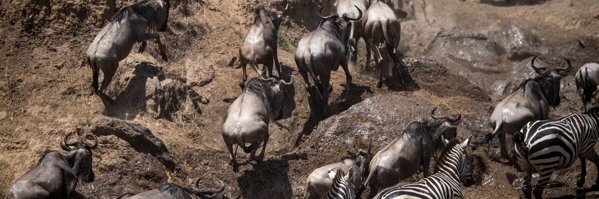 İklim Göçü Değişen Coğrafyalar ve Yeni Sosyal Gerçeklikler